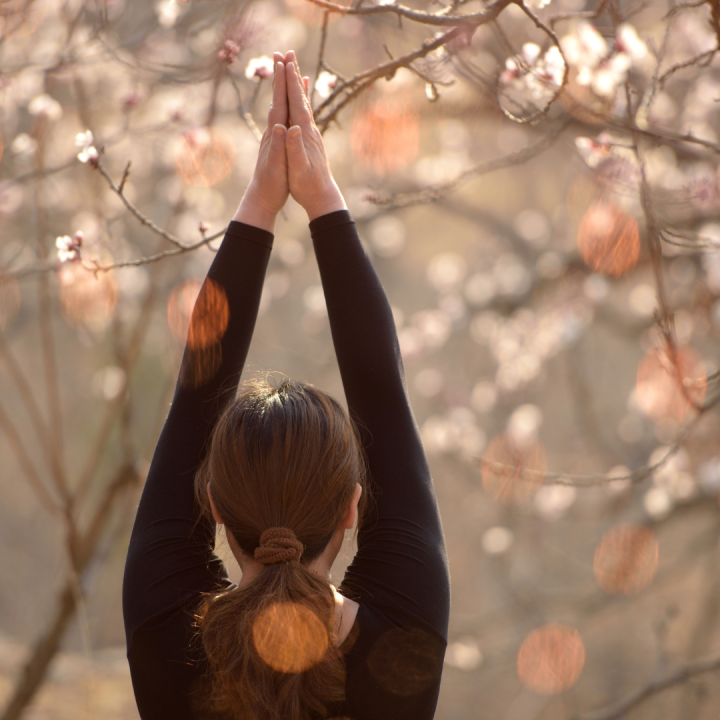 Accueillir le printemps : un voyage intérieur de croissance spirituelle et de renaissance