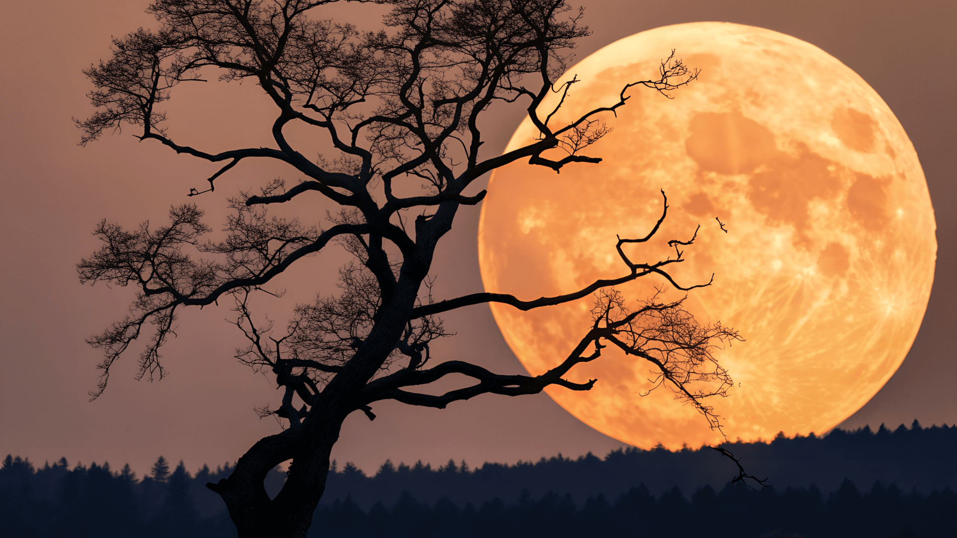 Guidance. Pleine Lune. La Voix des Etoiles.