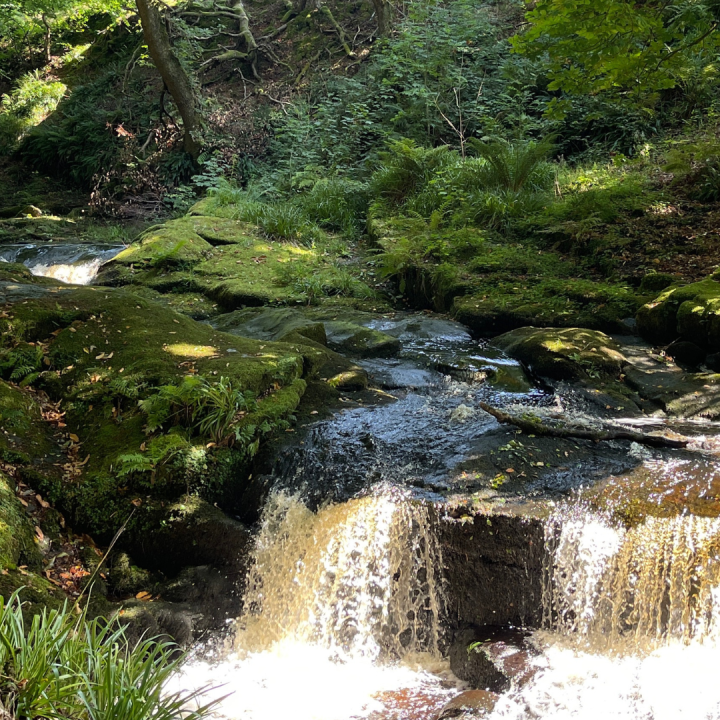 Rivière secrète Voyage initiatique Irlande La Voix des Etoiles