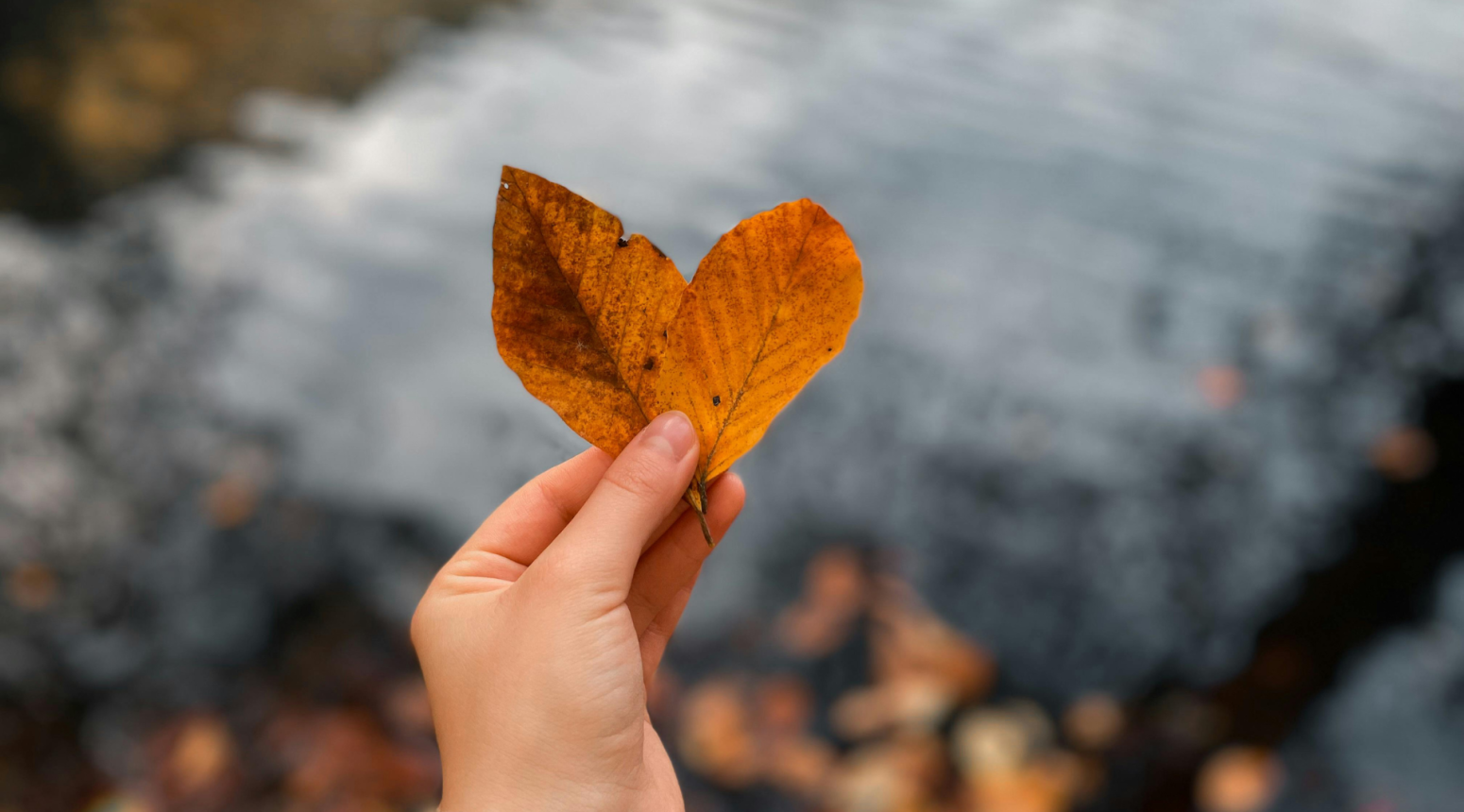 L’équinoxe d’automne comme portail intérieur pour ralentir et revenir à soi ; voyage intérieur la voix des étoiles