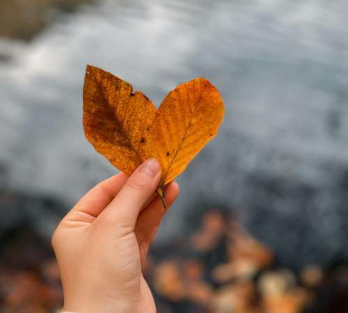 L’équinoxe d’automne comme portail intérieur pour ralentir et revenir à soi ; voyage intérieur la voix des étoiles